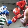 Portimão Box Cup vai ser disputada por mais de 350 pugilistas de dez países