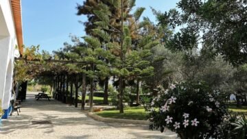 Quinta Pedagógica de Portimão expõe ferramentas e utensílios agrícolas antigos