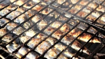 27.º Festival da Sardinha convida residentes e visitantes à zona ribeirinha de Portimão entre 1 e 6 de agosto